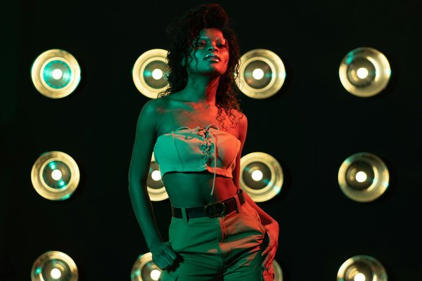 Scoprire il Mondo degli Animali Domestici